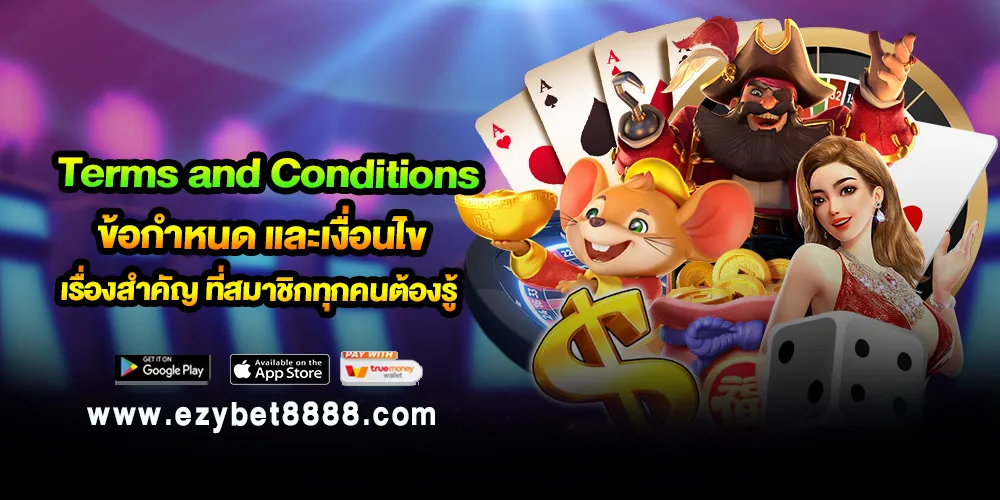 Terms and Conditions